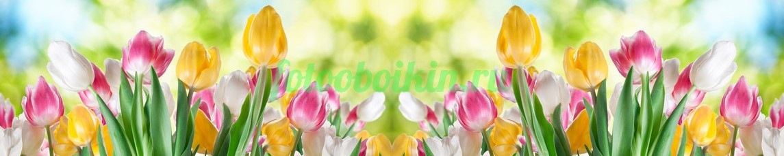 Фартук для кухни № 4739