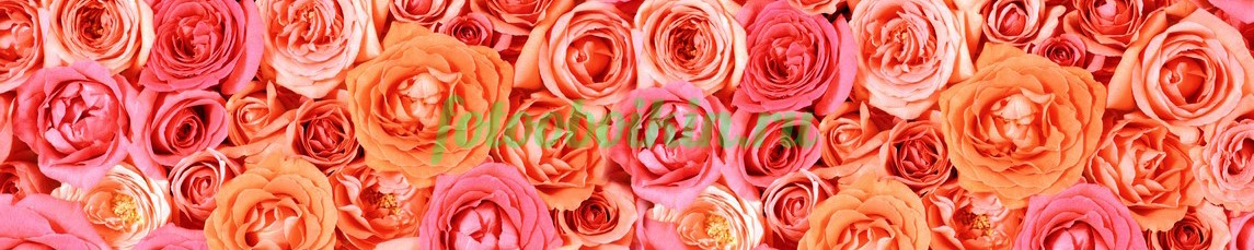 Фартук для кухни № 4779