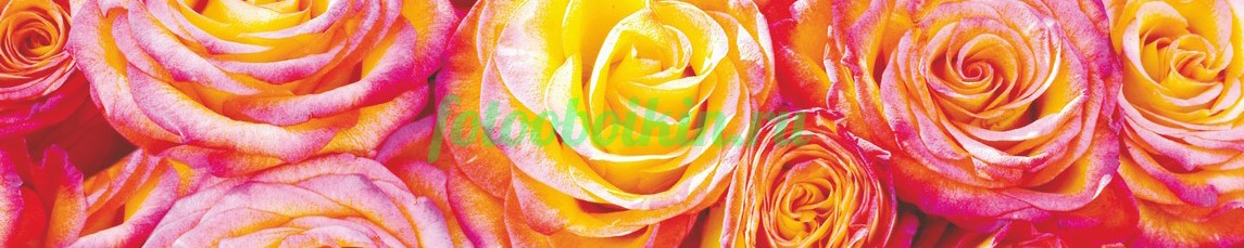 Фартук для кухни № 4780