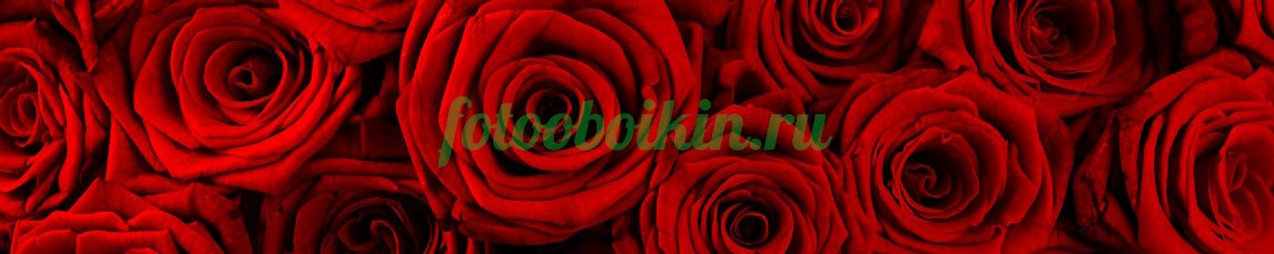 Фартук для кухни № 4782