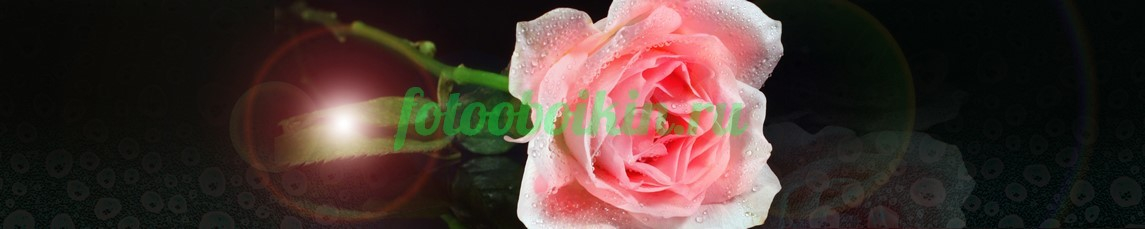 Фартук для кухни № 4784