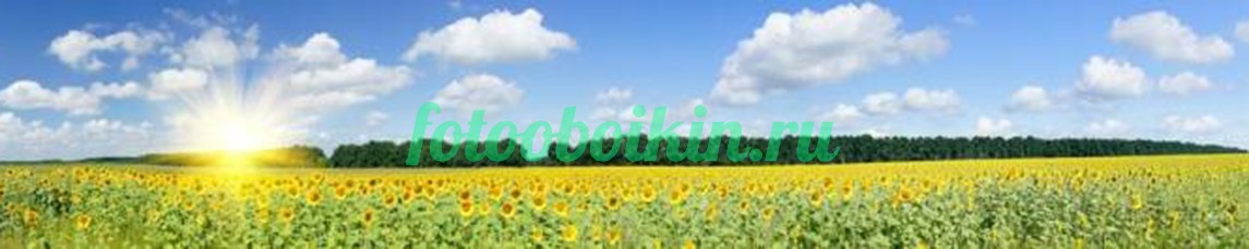 Подсолнухи для кухни в поле