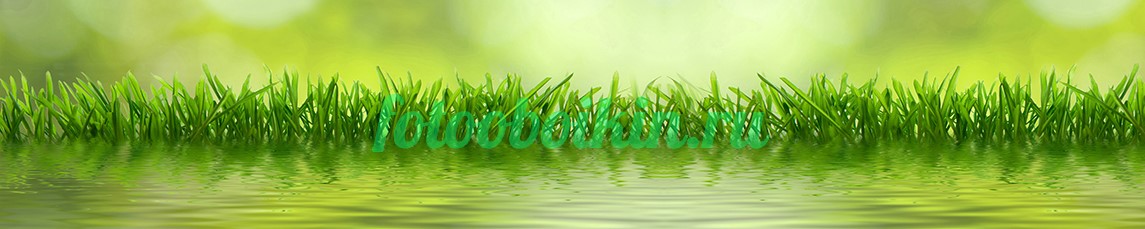 Трава для кухни около воды