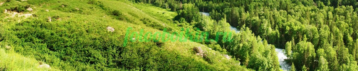 Фартук для кухни № 996
