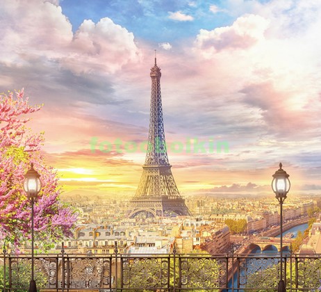 Красивый пейзаж в Париже