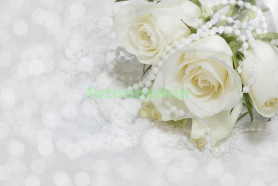 Белые розы на светлом фоне