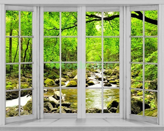 Окно с видом на лесную реку