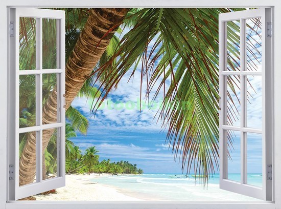 Окно с видом на пляж с пальмой