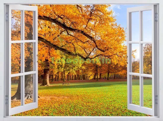 Окно с видом на осеннее дерево