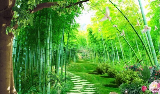 Сад в Китае