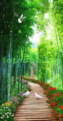 Сад с бамбуком