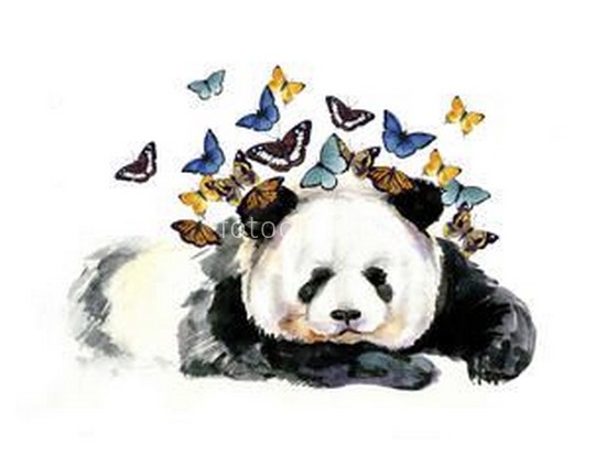 Панда с бабочками
