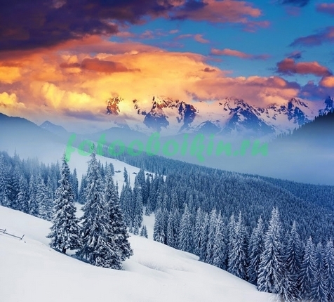 Фотообои Зимний лес в горах