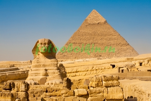 Фотоштора Египет