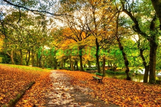 Фотоштора Осенний парк