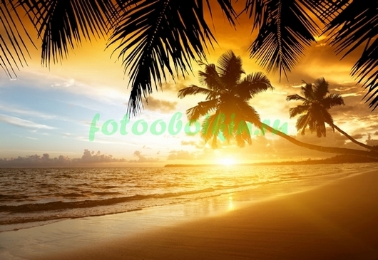 Фотообои Оранжевый закат на пляже