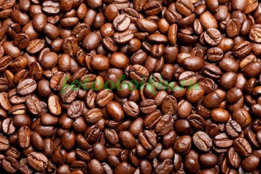 Фотоштора Зерна кофе