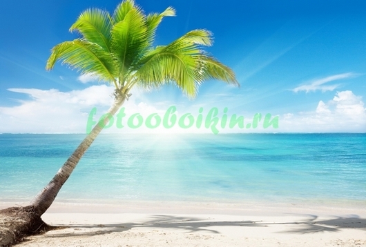 Фотоштора Пальма на фоне моря