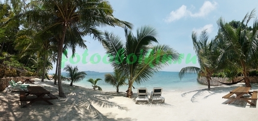 Фотоштора Пляж с пальмами