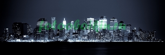 Фотоштора Панорама ночного города ч\б