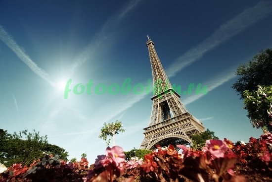 Фотоштора Цветы на фоне Эйфелевой башни