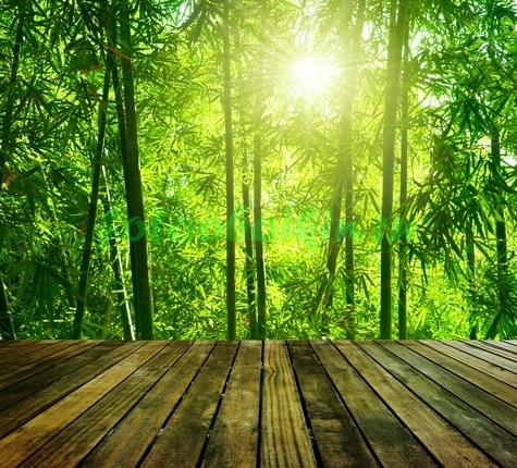 Фотоштора Бамбуковый лес