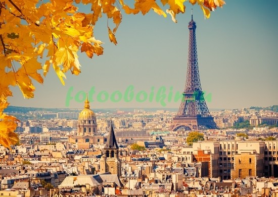 Фотообои Желтые листья с видом на Париж
