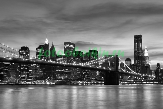 Черно белое фото Бруклинского моста