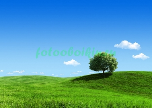 Фотоштора Одинокое дерево