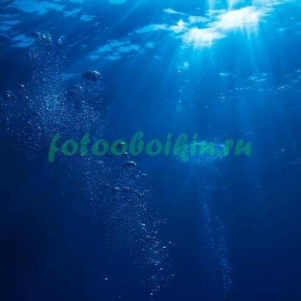 Фотоштора Пузыри под водой