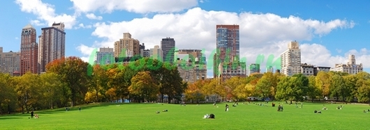 Фотоштора Нью-Йорк зеленый парк