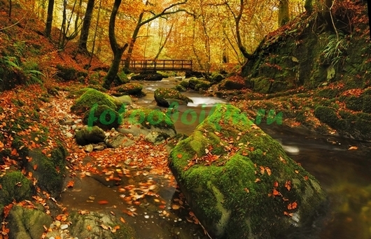 Фотоштора Осенний парк