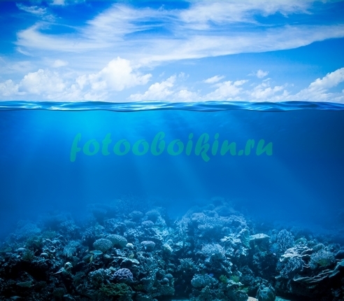 Фотоштора Подводный мир