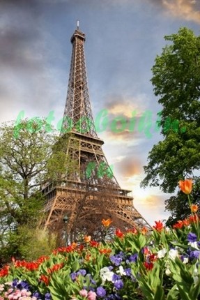 Фотоштора Тюльпаны и Эйфелева башня