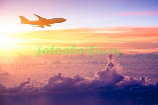 Фотоштора Самолет в небе
