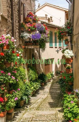 Фотообои Красивая улица с цветами