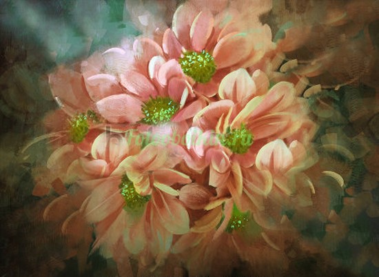 Фотоштора Розовые хризантемы