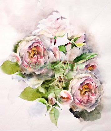 Фотоштора Нежно розовые розы