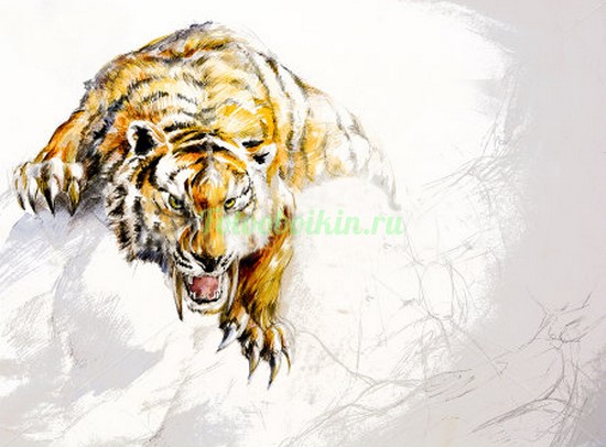 Фотоштора Саблезубый тигр