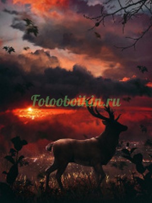 Фотообои Олень на фоне красного заката