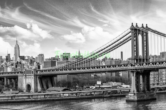 Фотоштора Бруклинский мост в серых оттенках