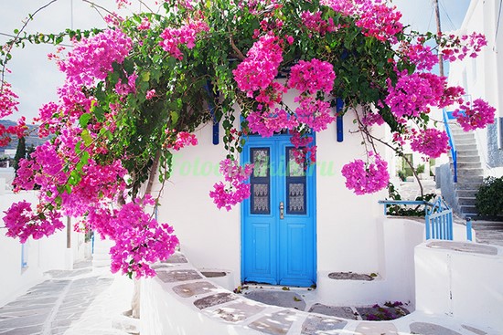 Фотоштора Синяя дверь в цветах