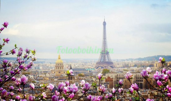 Фотоштора Магнолии на фоне Эйфелевой башне