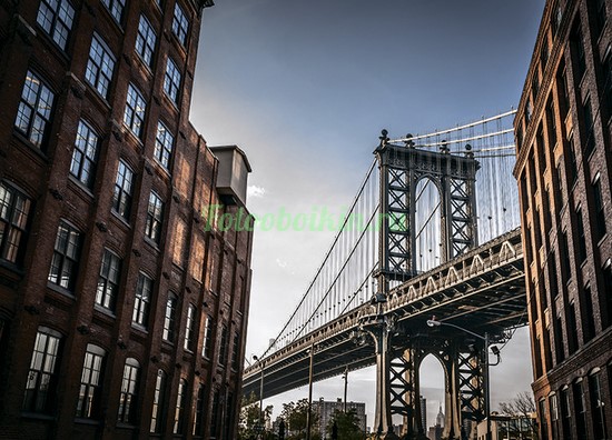 Фотообои Бруклинский мост вид с улицы