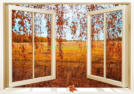 Фотообои Осень в окне