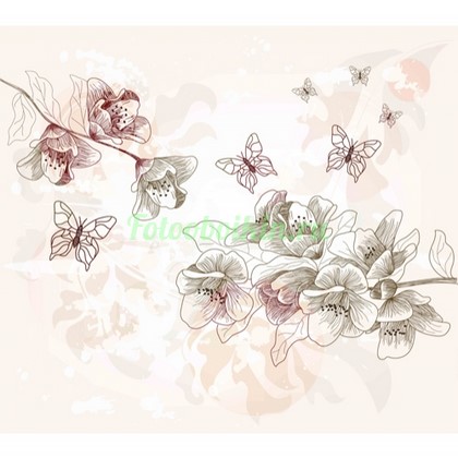Фотообои Рисунок цветы магнолии
