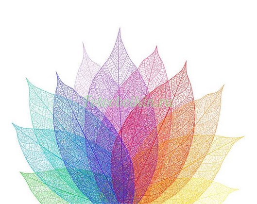 Фотоштора Разноцветные листья