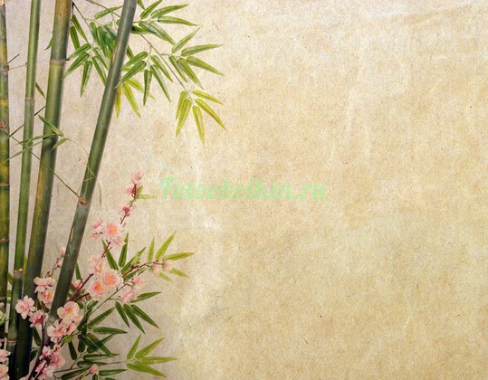 Фотообои Бамбук с веткой сакуры