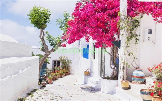 Фотоштора Белый дворик в Греции днем