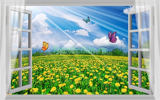 Фотоштора Окно с бабочками